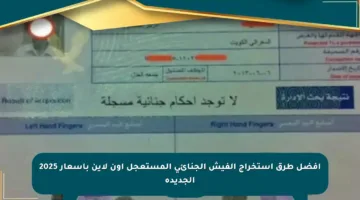 أفضل طرق استخراج الفيش الجنائي المستعجل أون لاين بأسعار 2025 الجديدة